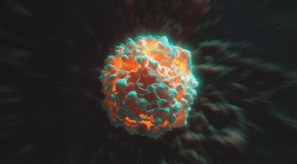 Apo-B: Der unterschätzte Marker für Ihr Herzrisiko