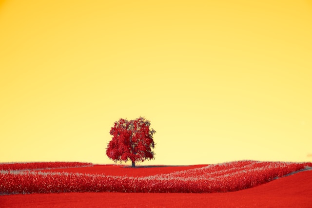 Gefäßgesundheit sichtbar machen